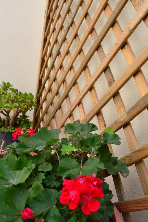 Anatolia Guest House Chania  Екстер'єр фото